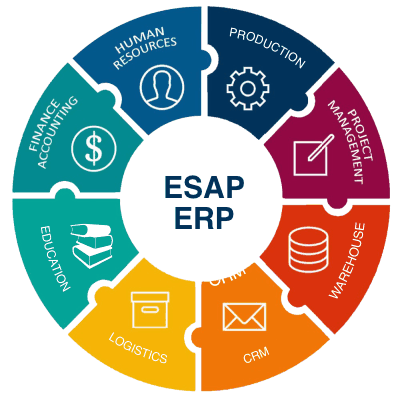 E​SAP ERP system